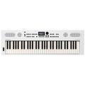 Roland GO:KEYS 5 Music Creation Keyboard - Mint, Open Box
