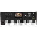 Korg Pa5X Oriental 61 Professional Arranger Workstation (New)