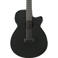 Ibanez AEG1221 AEG 12-String Acoustic Electric Guitar - Black Out (New)