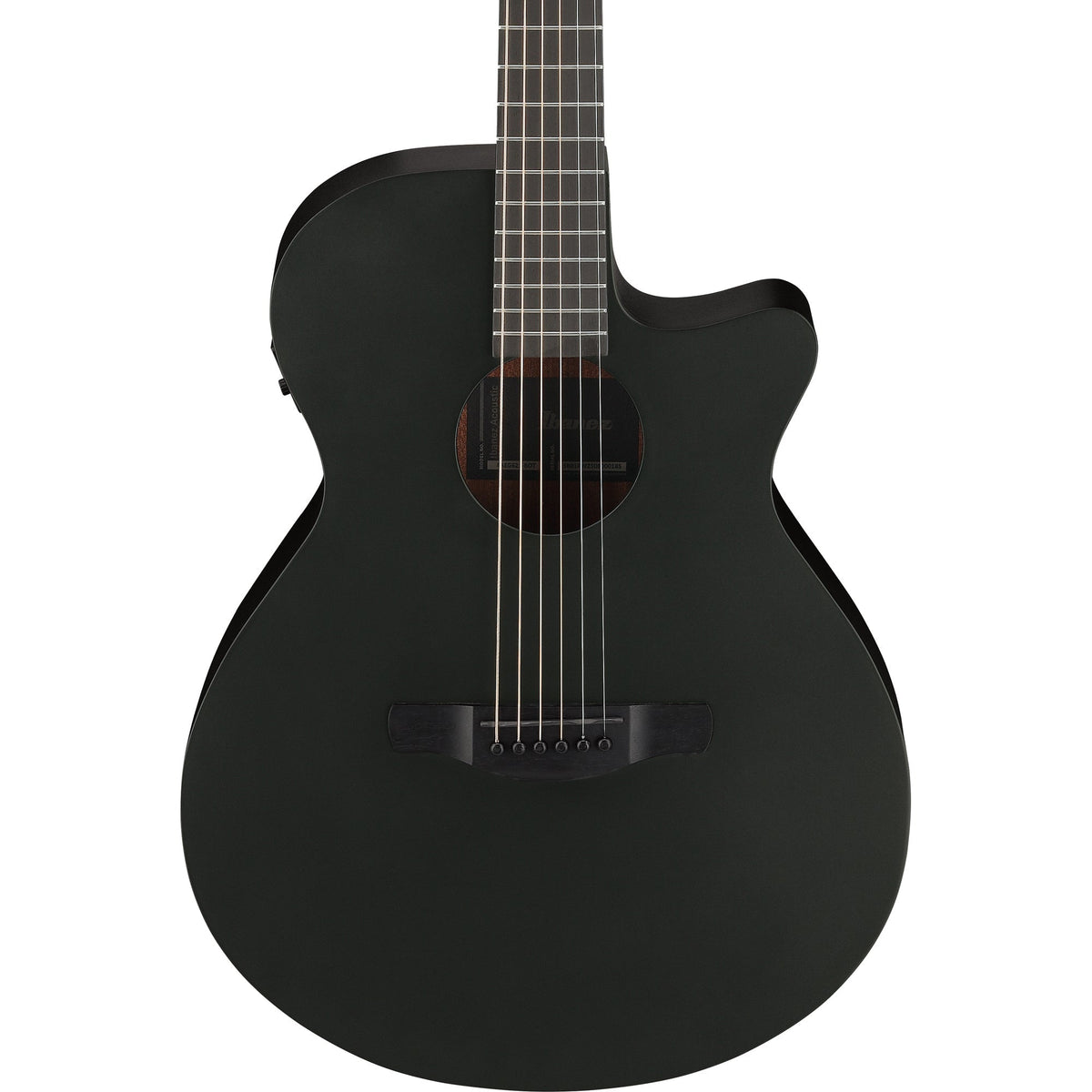 Ibanez AEG621 AEG Acoustic Electric Guitar - Black Out (New)