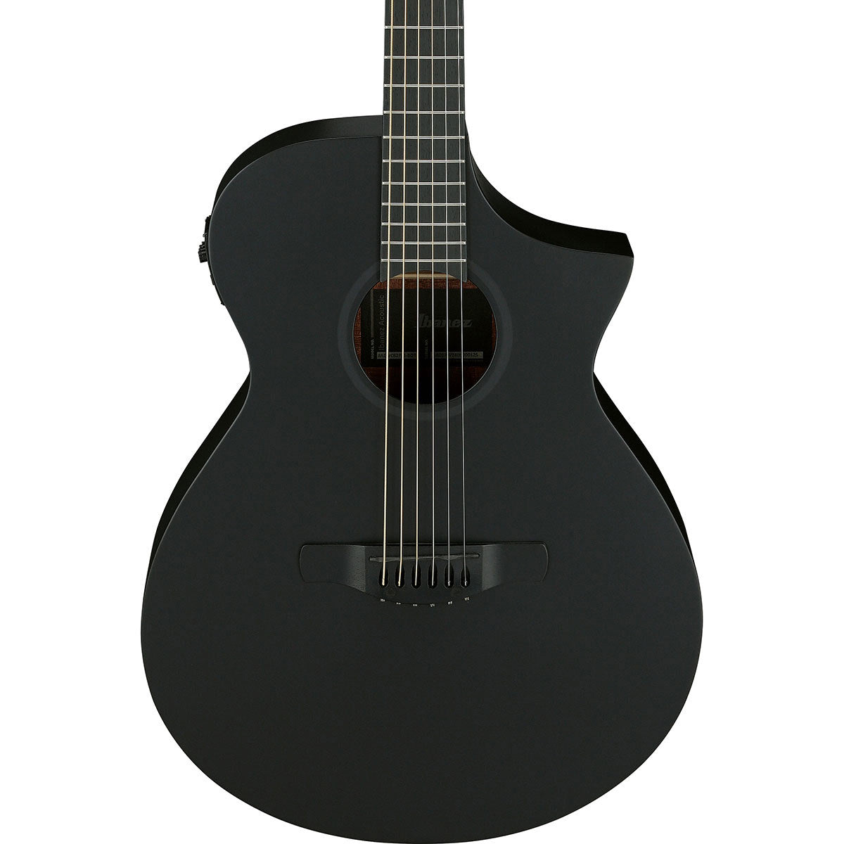 Ibanez AEWC Series Acoustic Electric Guitar, Black Out (New)