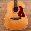 Harmony H159 X-Brace Conversion Natural 1969