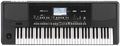 Korg PA300 61-Key Arranger Workstation with Built In Speakers (New)