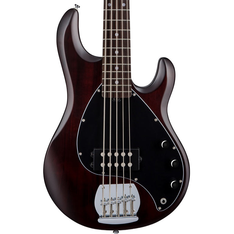 Sterling by Music Man StingRay Ray5 5-String Bass Guitar - Walnut Stain (New)